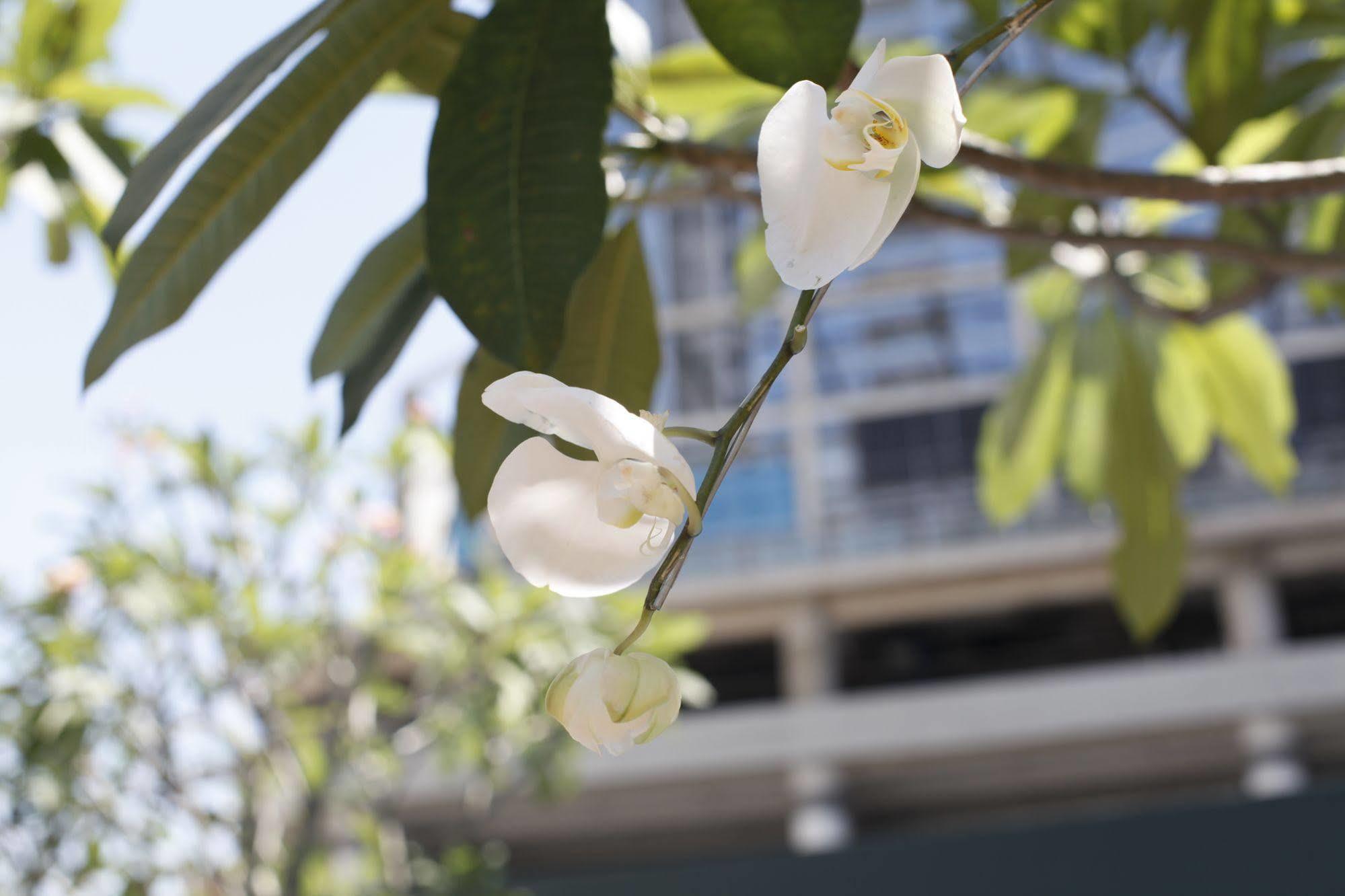 Four Points By Sheraton Surabaya Exterior foto